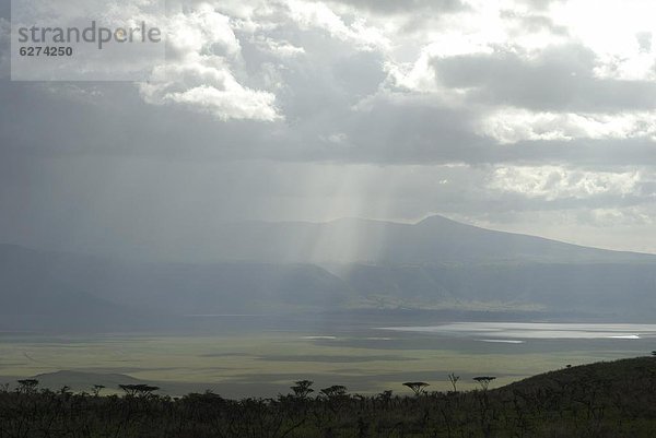 Ostafrika  UNESCO-Welterbe  Afrika  Ngorongoro Crater  Tansania