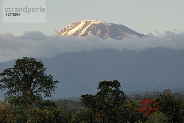 Mount Kilimanjaro  UNESCO World Heritage Site  Tansania  Ostafrika  Afrika