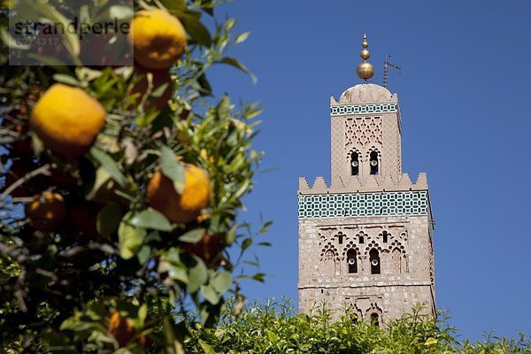 Nordafrika  Afrika  Marrakesch  Marokko