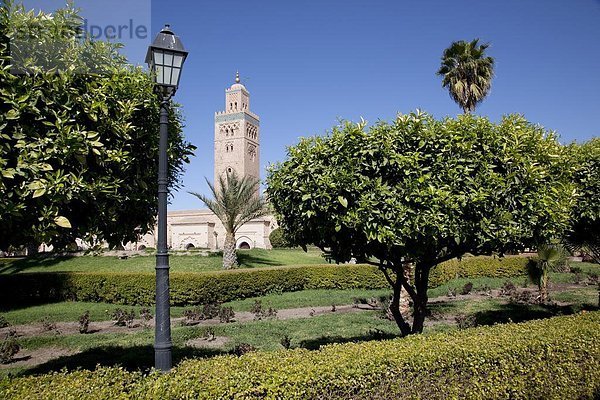 Nordafrika  Hauptstadt  Koutoubia-Moschee  Afrika  Marrakesch  Minarett  Marokko  Moschee