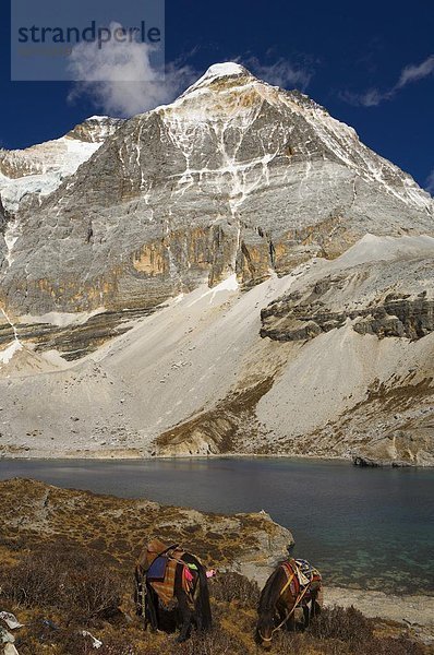 Farbaufnahme  Farbe  Berg  See  5  Sichuan  Asien