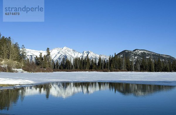 Berg  Felsen  Spiegelung  See  Nordamerika  UNESCO-Welterbe  Alberta  Banff  Kanada