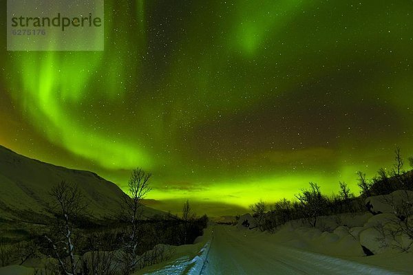 Europa  bedecken  über  Fernverkehrsstraße  Polarlicht  Aurora  Skandinavien  Schnee  Troms