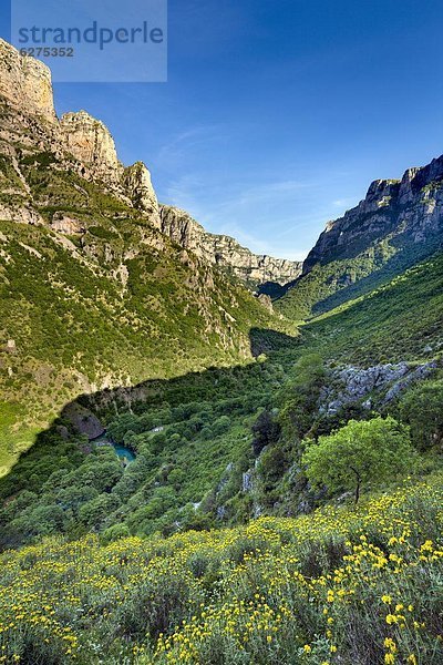 Quelle  Europa  Schlucht  Epirus  Griechenland