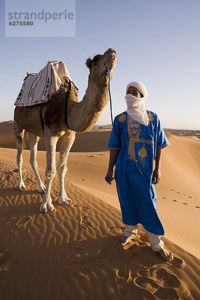 Nordafrika  stehend  Mann  Afrika  Berber  Kamel  Merzouga  Marokko