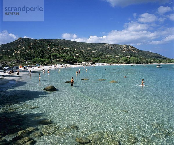 Palombaggia Beach  near Porto Vecchio  South East Corsica  Corsica  France  Mediterranean  Europe