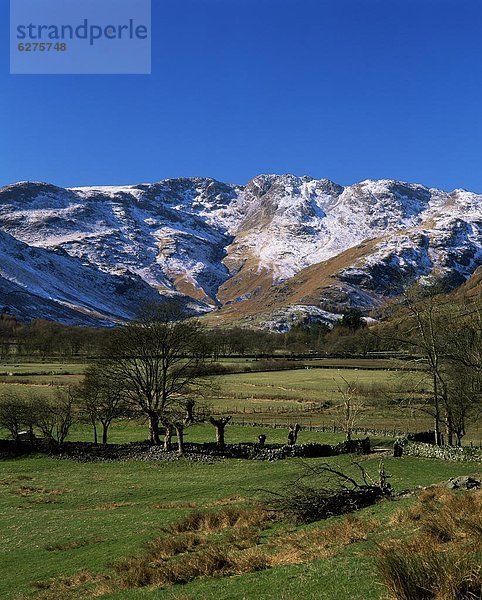 Europa  Winter  Tal  Ansicht  vorwärts  Felsen  Cumbria  England  Great Langdale