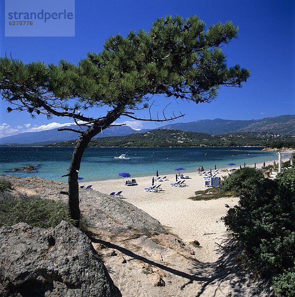 Beach view  Cala Rossa  South East Corsica  Corsica  France  Mediterranean  Europe