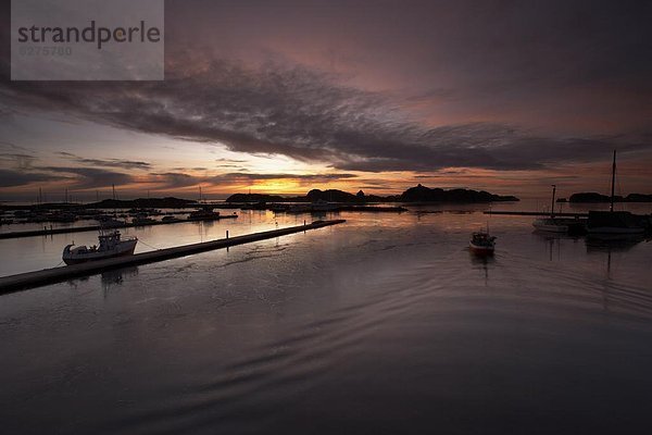 Hafen  Morgendämmerung  Boot  Norwegen