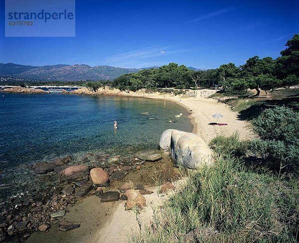 Beach view  Cala Rossa  South East Corsica  Corsica  France  Mediterranean  Europe