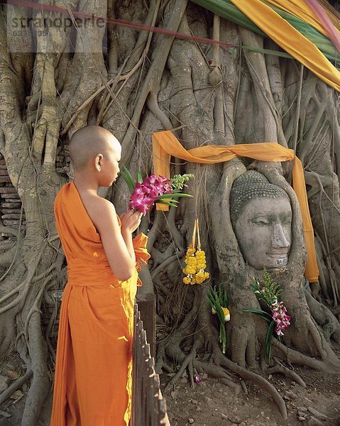 Angebot Blume Südostasien UNESCO-Welterbe Buddha Mönch