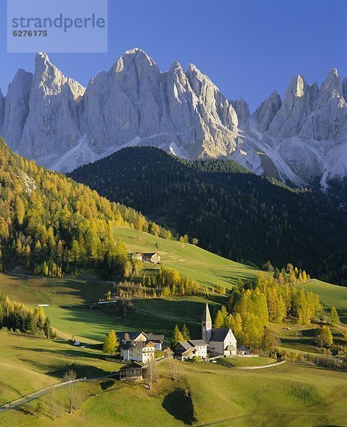 Europa  Berg  Dolomiten  Trentino Südtirol  Italien