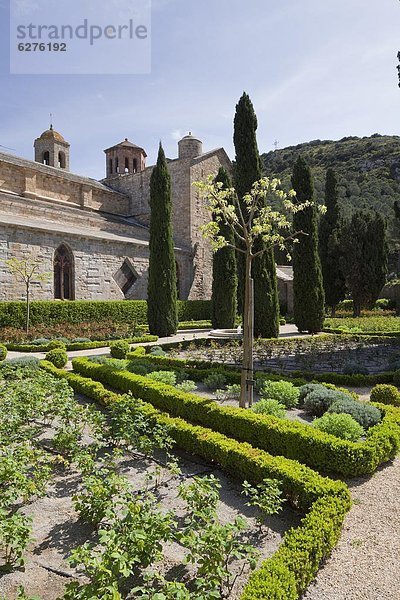 Frankreich  Europa  Kirche  Garten  Rückansicht  Abtei  Languedoc-Roussillon  Rose