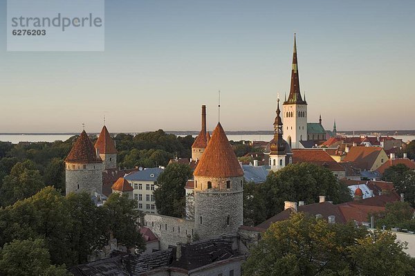 Tallinn  Hauptstadt  Mittelalter  Europa  Wand  Stadt  Kirchturm  Estland