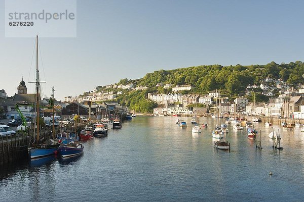 Europa  Morgen  Großbritannien  Beleuchtung  Licht  Fluss  Cornwall  England