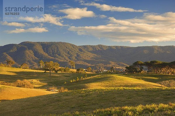 Pazifischer Ozean  Pazifik  Stiller Ozean  Großer Ozean  Wiese  Australien  New South Wales