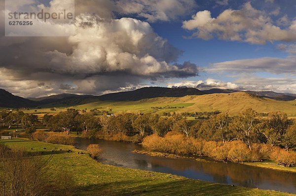 Murray River  nahe Towong  Victoria  Australien  Pazifik