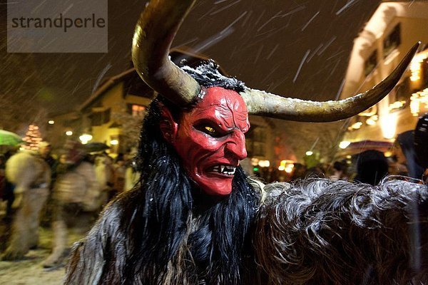 Trentino Südtirol  Europa  Tier  Berg  identifizieren  Mythologie  Bozen  Italien