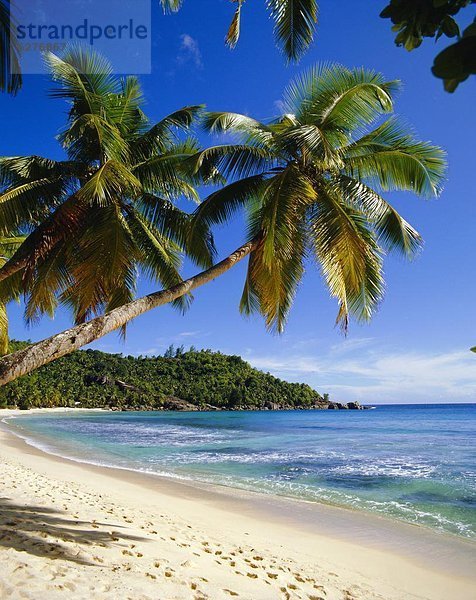 Strand  Seychellen