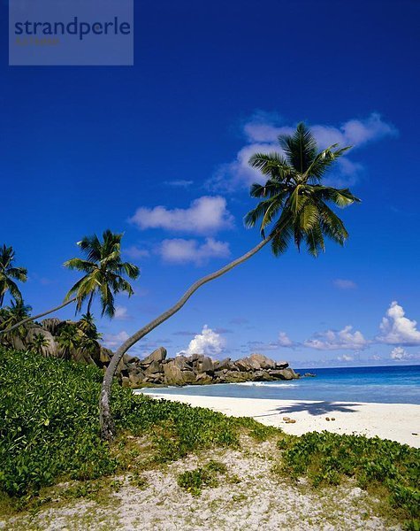 Strand  Seychellen