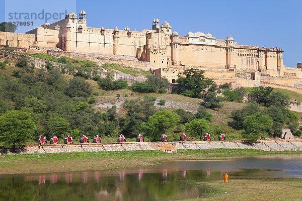 nahe  nehmen  Tourist  Elefant  Festung  Bernstein  Asien  Indien  Jaipur  Rajasthan