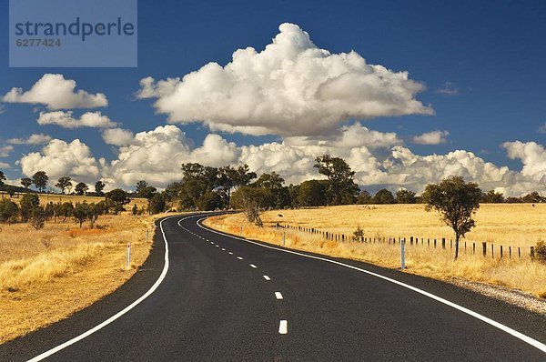 Road  nahe Armidale  New South Wales  Australien  Pazifik