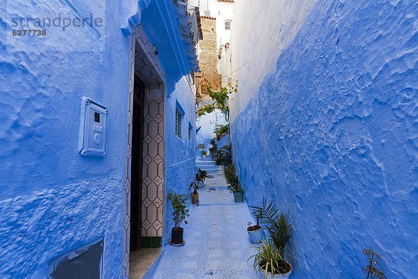 Chefchaouen (Chaouen)  Tangeri-Tetouan Region  Rif-Gebirge  Marokko  Nordafrika  Afrika