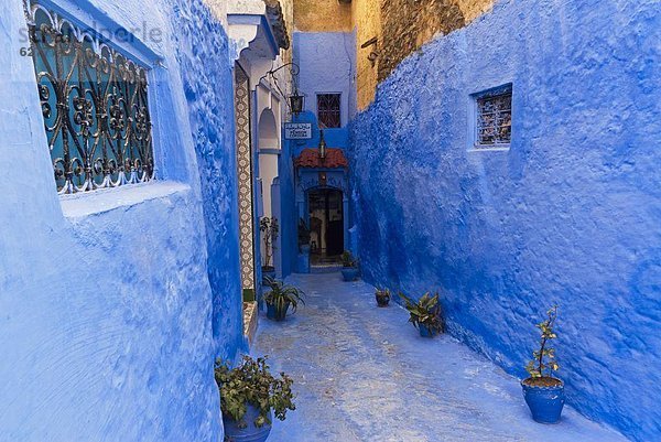 Chefchaouen (Chaouen)  Tangeri-Tetouan Region  Rif-Gebirge  Marokko  Nordafrika  Afrika