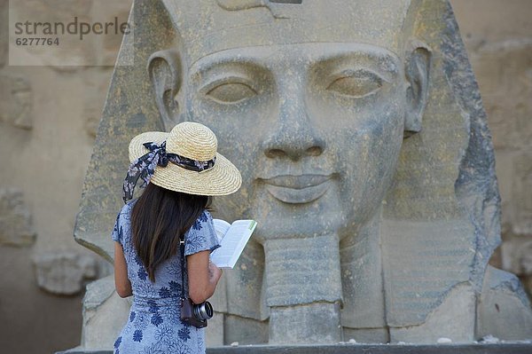 Nordafrika  Tourist  Statue  lernen  UNESCO-Welterbe  Afrika  Ägypten  Luxor