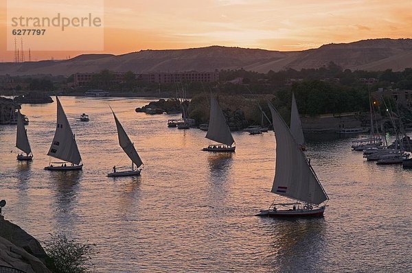 Feluccas auf dem Nil  Assuan  Ägypten  Nordafrika  Afrika