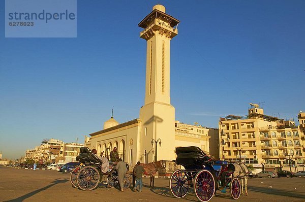 Nordafrika  Afrika  Ägypten  Luxor  Moschee des Abu el-Haggag