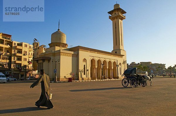 Nordafrika  Afrika  Ägypten  Luxor  Moschee des Abu el-Haggag