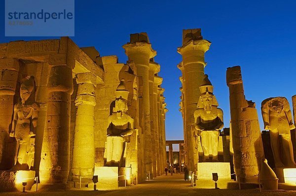 Nordafrika  Statue  groß  großes  großer  große  großen  UNESCO-Welterbe  Afrika  Gericht  Ägypten