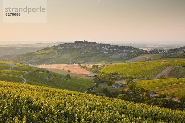 Frankreich  Europa  Beleuchtung  Licht  Himmel  über  füllen  füllt  füllend  Morgendämmerung  Dorf  Start  Weinberg  Loiretal