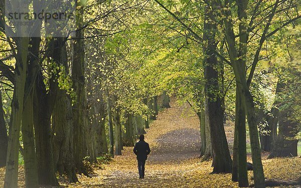 Europa  Großbritannien  Hampstead Heath  England