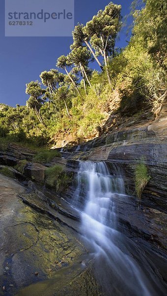 Ostafrika  Wasser  fließen  Berg  Wald  Afrika  Kenia