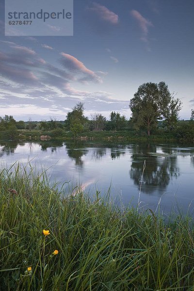 niedrig  nahe  Frankreich  Europa  Beleuchtung  Licht  Spiegelung  Fluss  Reflections