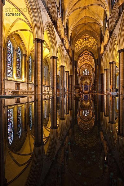 Europa  sehen  Großbritannien  Kathedrale  England  Salisbury  Wiltshire