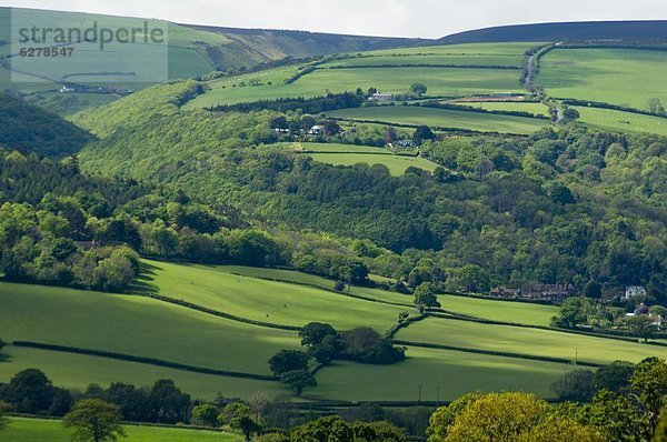 nahe  rollen  Europa  Großbritannien  Hügel  Frühling  England  Somerset