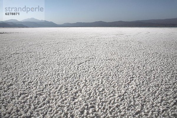 Wasser  Erde  zeigen  Kontinent  Afrika  Dschibuti  Saline