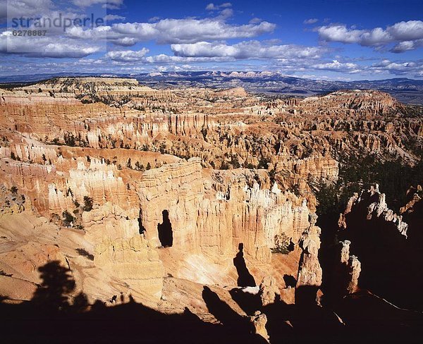 Vereinigte Staaten von Amerika  USA  Nordamerika  Hoodoo  Bryce Canyon Nationalpark  Utah