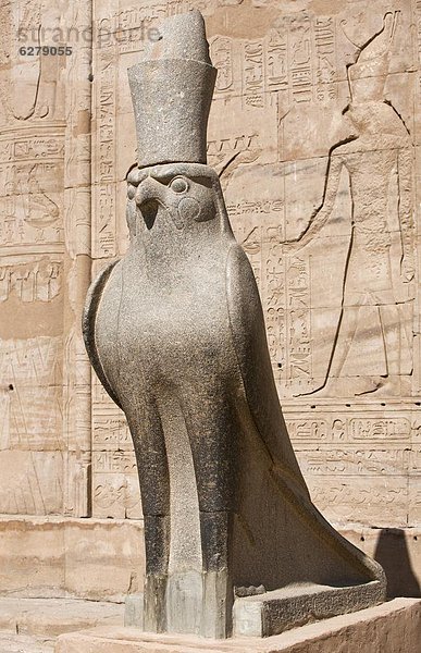 Nordafrika  Figur  Afrika  Edfu  Ägypten  Falke  Gott  Granit  Horus