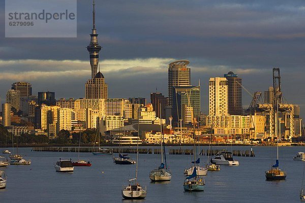 Skyline  Skylines  Hafen  Boot  Pazifischer Ozean  Pazifik  Stiller Ozean  Großer Ozean  neuseeländische Nordinsel  Auckland  Bucht  Neuseeland