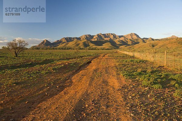 Flinders Ranges  Flinders Ranges Nationalpark  Südaustralien  Australien  Pazifik