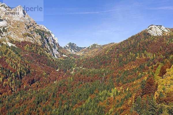 Europa  Alpen  Herbst  Slowenien