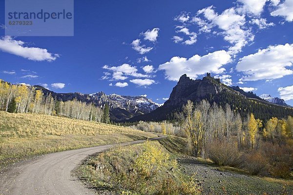 Vereinigte Staaten von Amerika  USA  Farbaufnahme  Farbe  Berg  Fernverkehrsstraße  Nordamerika  schmutzig  Espe  Populus tremula  Colorado