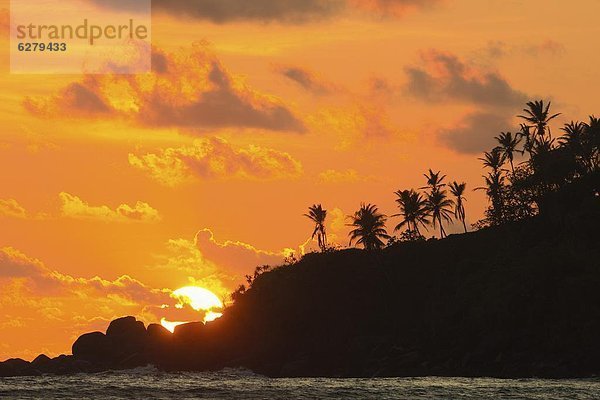 Strand  Sonnenuntergang  Baum  Asien  Sri Lanka  Brandung