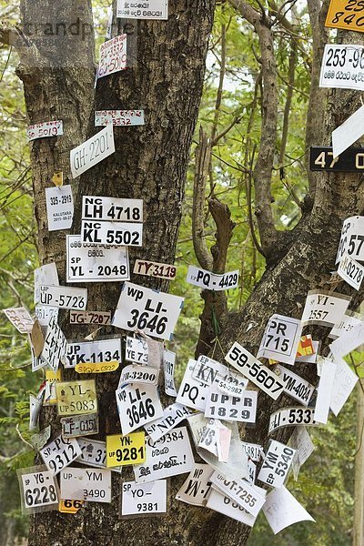 Verkehr Baum Stadt Heiligkeit Süden Pilgerer Asien Kataragama Sri Lanka