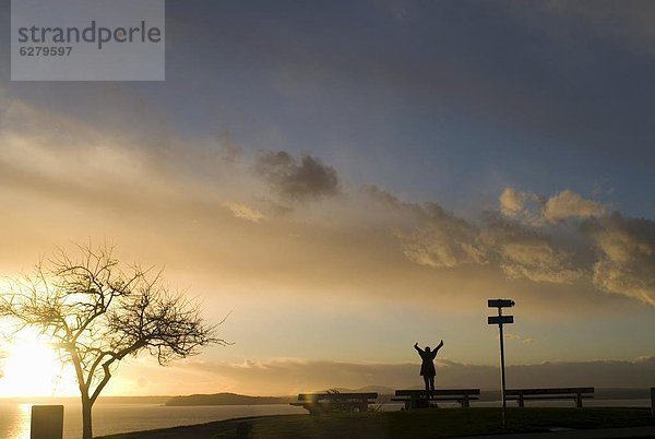 Vereinigte Staaten von Amerika  USA  Sonnenuntergang  Silhouette  strecken  Nordamerika  Mädchen  Puget Sound  Seattle