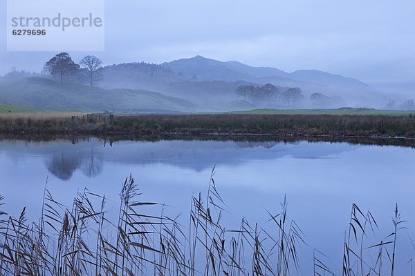 nahe  Europa  Morgen  Großbritannien  Dunst  Fluss  Cumbria  Elterwater  England  Lake District